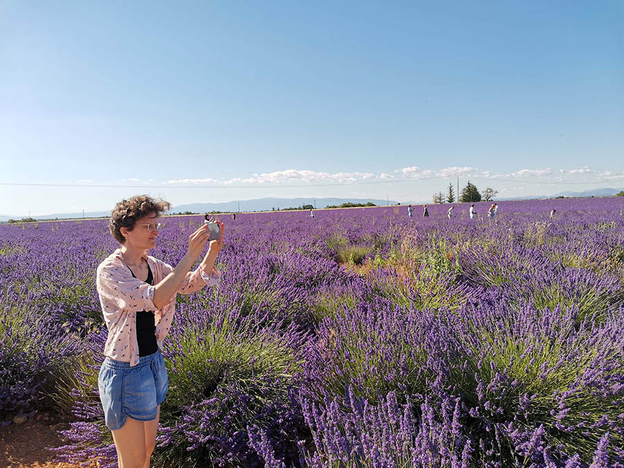 Au milieu des champs de lavande-Agritourisme-Lavandes-Domaine les grandes Marges-ReiseTripTours-Culture-Provence