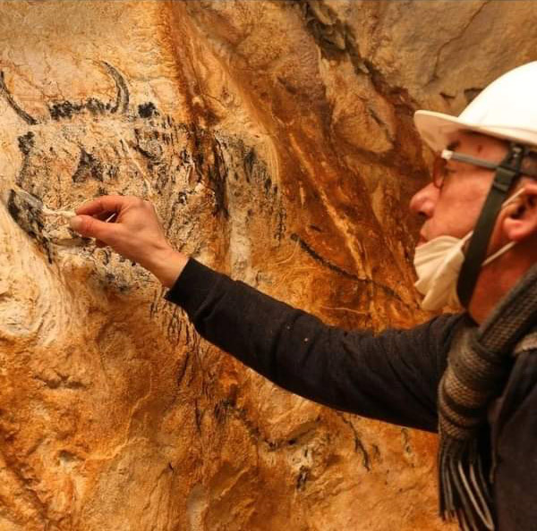 Aurochs gravés-Dans les abysses de la Grotte Cosquer avec l'association Provence Guide Interprète-Culture Patrimoine-ReiseTrip Tours