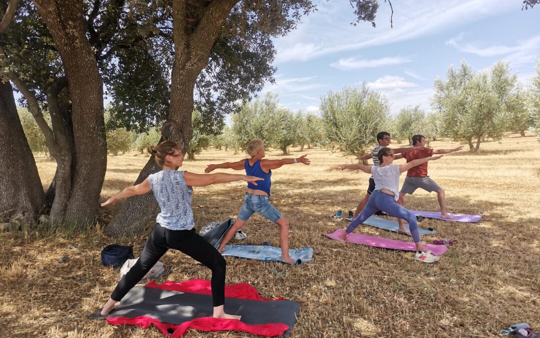 Balade Yoga et Campagne